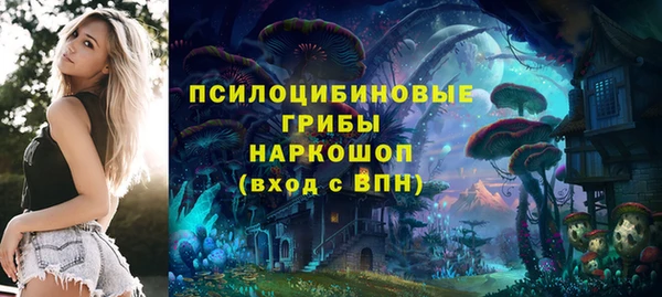 a pvp Алексин