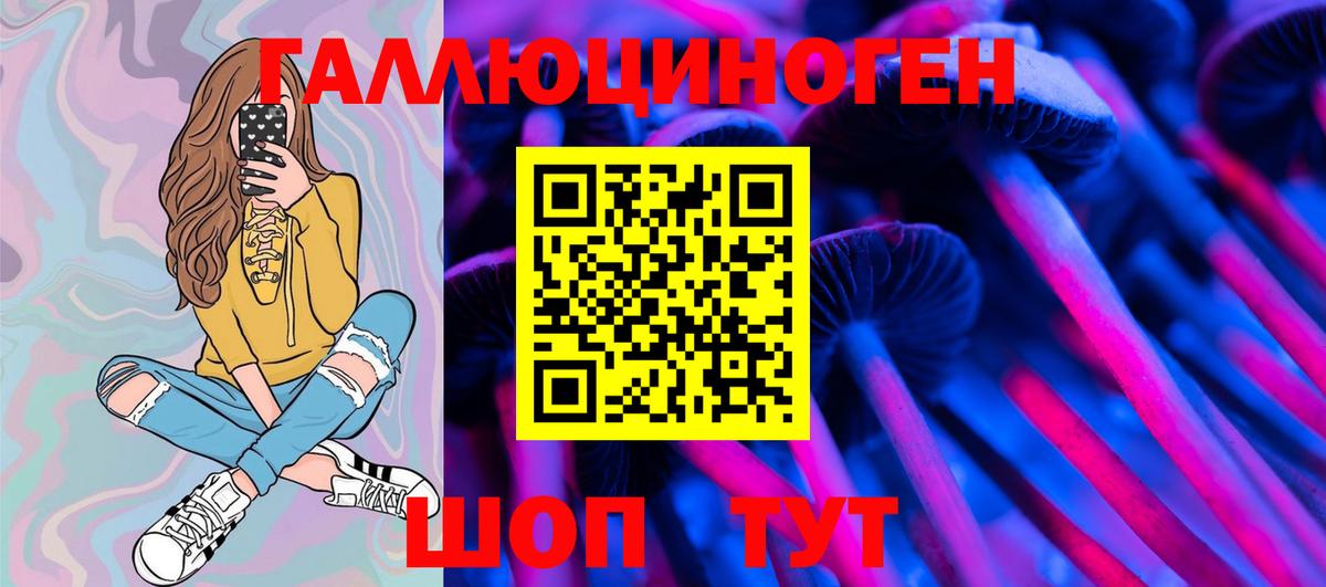 Псилоцибиновые грибы Cubensis Бийск