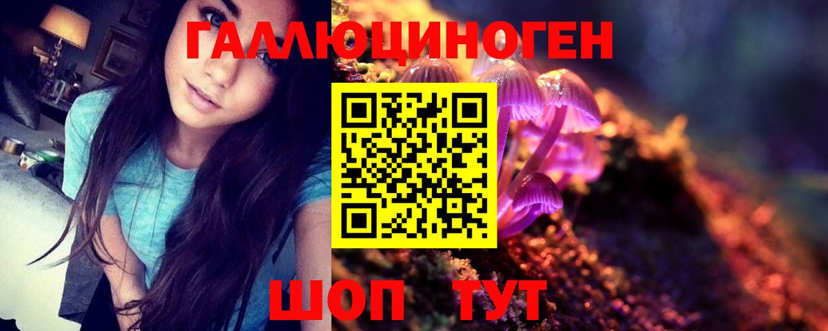 Бийск  Псилоцибиновые грибы мухоморы  Вход с VPN  Галлюциногенные грибы MAGIC MUSHROOMS 