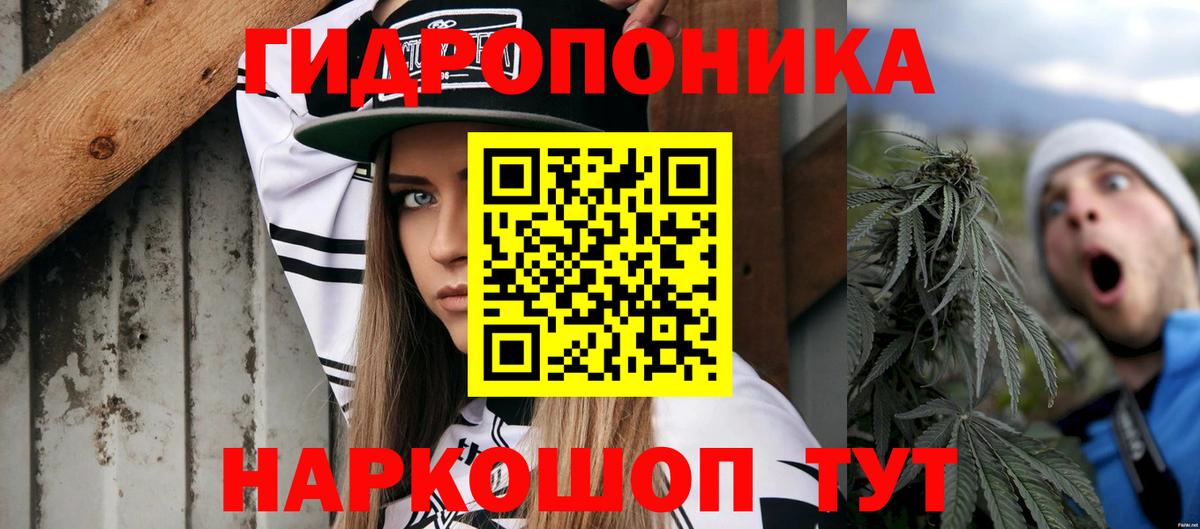 Бошки марихуана план  Вход с VPN  Бийск  Марихуана конопля  Канабис Amnesia 